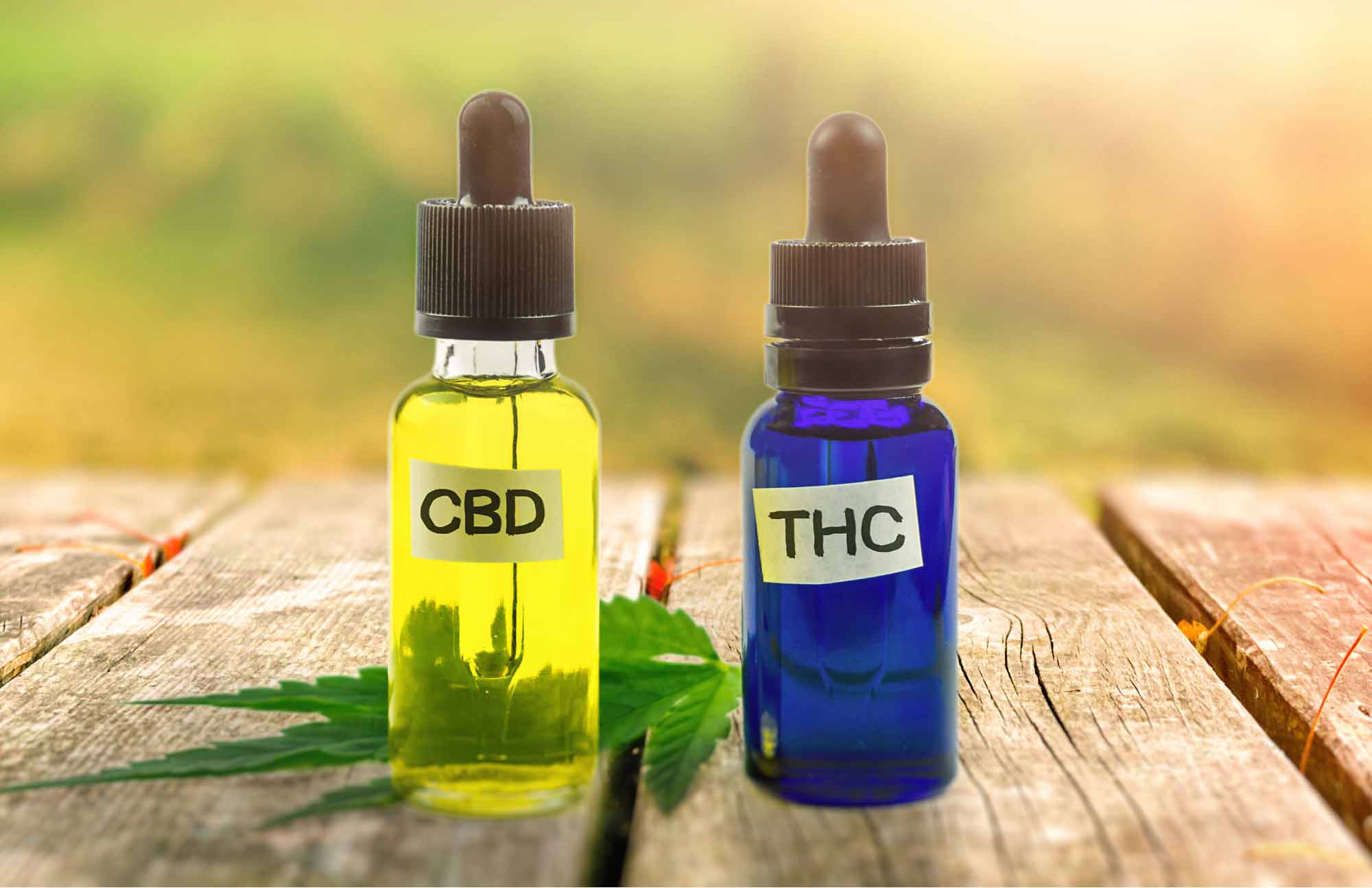 The Difference Between CBD And Thc
