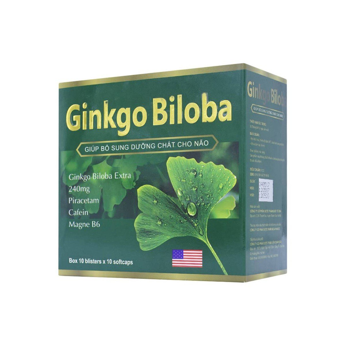 Benefits of Ginkgo Biloba Supplements